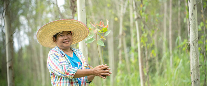 Double A Paper Grows over 500,000 trees with help of farmers in Thailand.