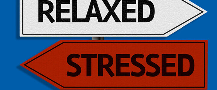 5 Ways to Destress Before the Holiday Rush